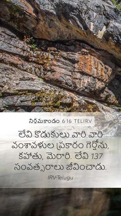 నిర్గమకాండం 6:16 TELIRV Bible Verse Image