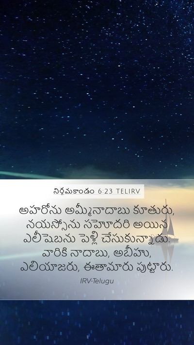 నిర్గమకాండం 6:23 TELIRV Bible Verse Image
