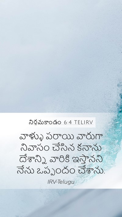 నిర్గమకాండం 6:4 TELIRV Bible Verse Image