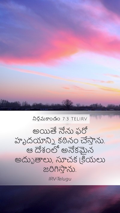 నిర్గమకాండం 7:3 TELIRV Bible Verse Image