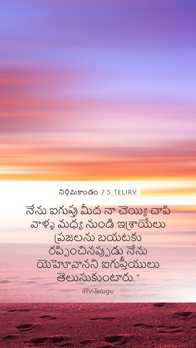నిర్గమకాండం 7:5 TELIRV Bible Verse Image