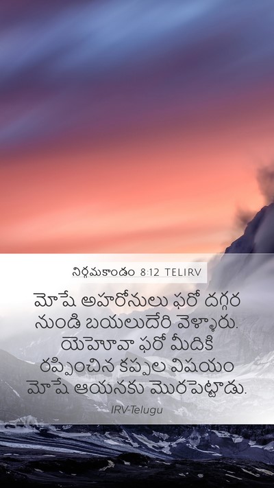 నిర్గమకాండం 8:12 TELIRV Bible Verse Image