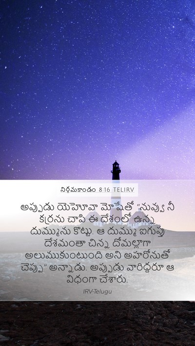 నిర్గమకాండం 8:16 TELIRV Bible Verse Image
