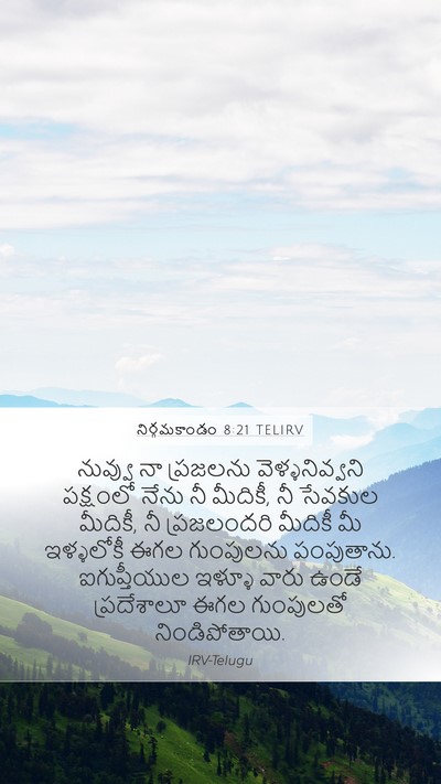నిర్గమకాండం 8:21 TELIRV Bible Verse Image