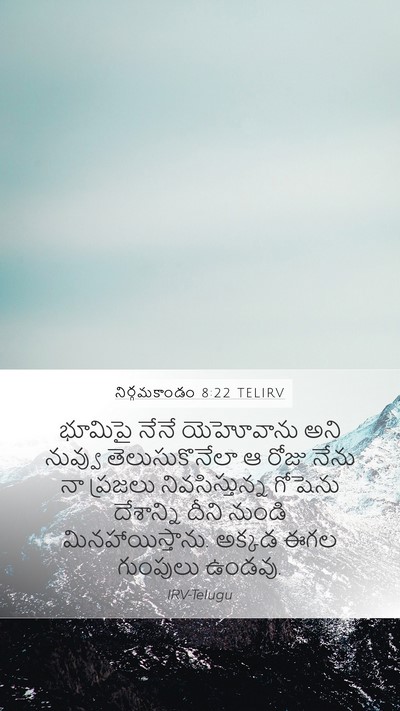 నిర్గమకాండం 8:22 TELIRV Bible Verse Image