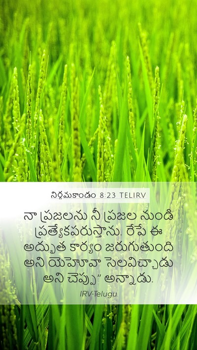 నిర్గమకాండం 8:23 TELIRV Bible Verse Image