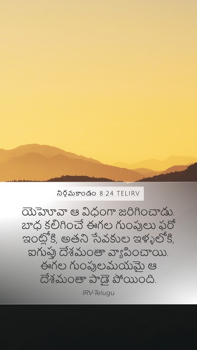 నిర్గమకాండం 8:24 TELIRV Bible Verse Image