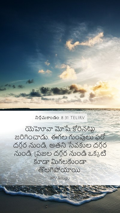 నిర్గమకాండం 8:31 TELIRV Mobile Phone Wallpaper - యెహోవా మోషే - Mobile Bible Verse Wallpaper