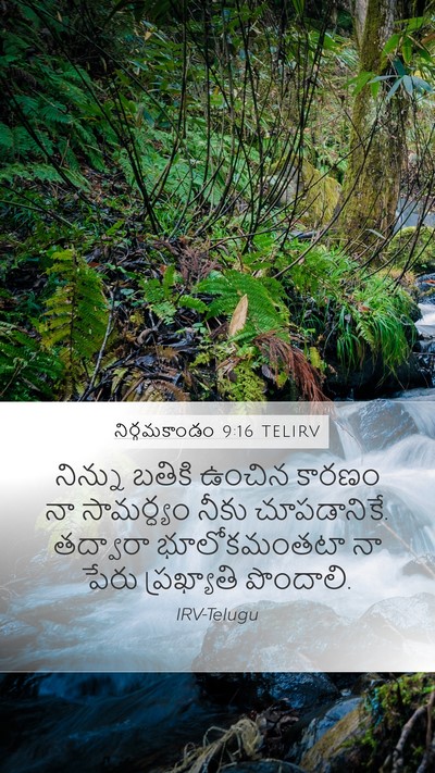 నిర్గమకాండం 9:16 TELIRV Bible Verse Image