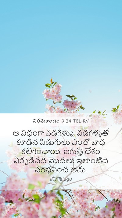 నిర్గమకాండం 9:24 TELIRV Bible Verse Image