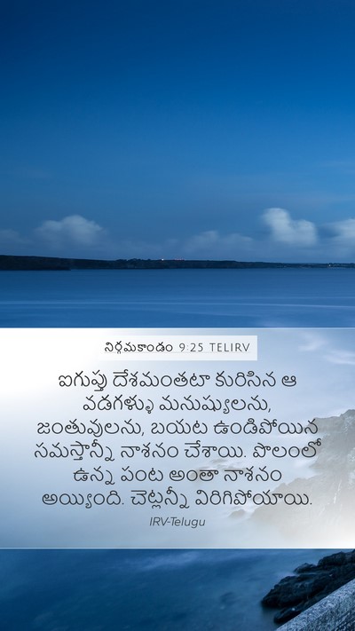 నిర్గమకాండం 9:25 TELIRV Bible Verse Image