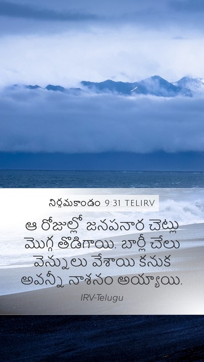నిర్గమకాండం 9:31 TELIRV Bible Verse Image