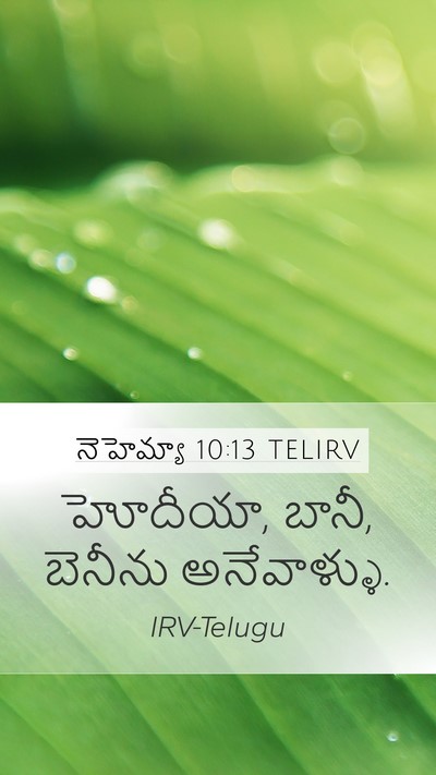 నెహెమ్యా 10:13 TELIRV Mobile Phone Wallpaper - హోదీయా, బానీ, - Mobile Bible Verse Wallpaper