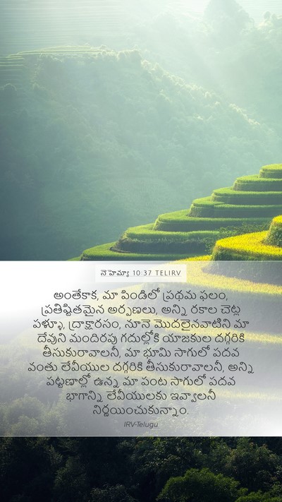 నెహెమ్యా 10:37 TELIRV Bible Verse Image