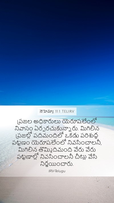 నెహెమ్యా 11:1 TELIRV Bible Verse Image
