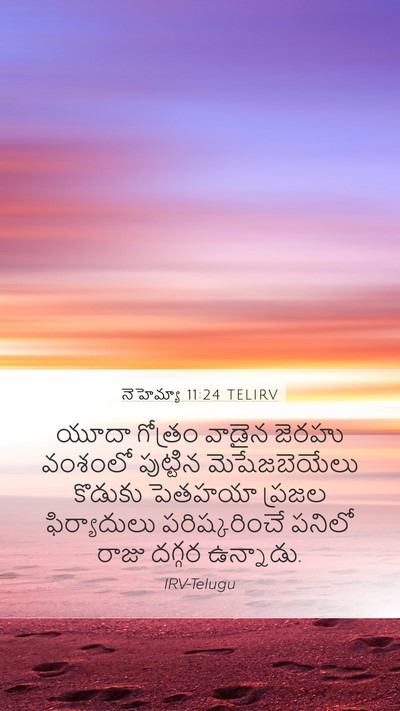 నెహెమ్యా 11:24 TELIRV Bible Verse Image