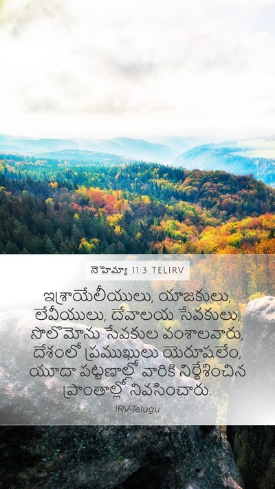 నెహెమ్యా 11:3 TELIRV Bible Verse Image