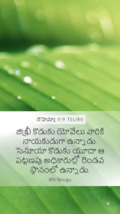 నెహెమ్యా 11:9 TELIRV Bible Verse Image
