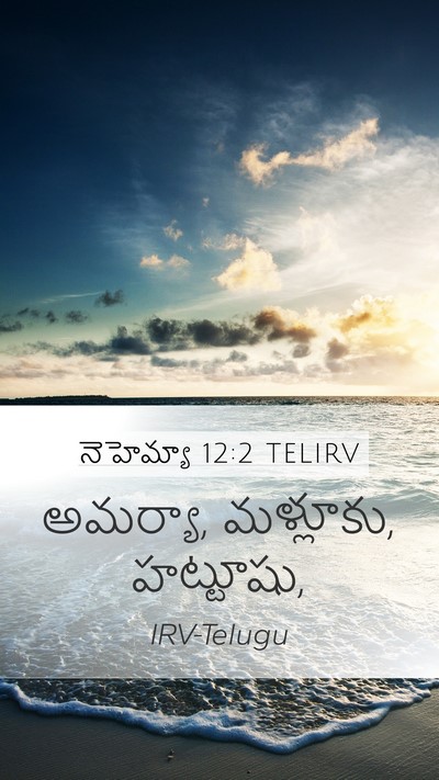 నెహెమ్యా 12:2 TELIRV Bible Verse Image