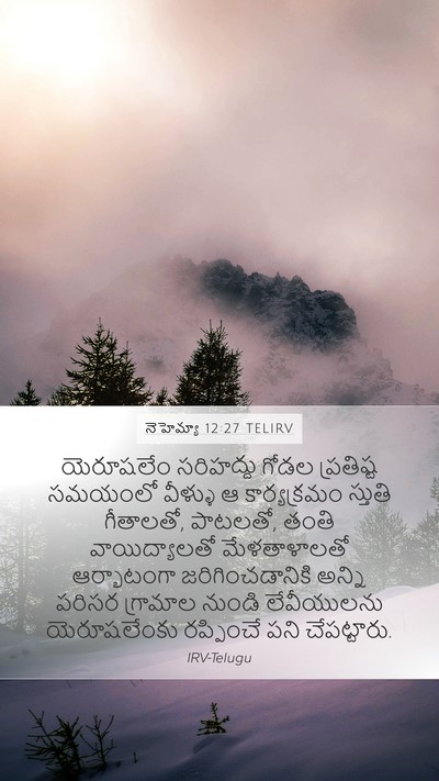 నెహెమ్యా 12:27 TELIRV Bible Verse Image