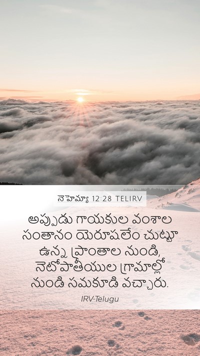 నెహెమ్యా 12:28 TELIRV Bible Verse Image