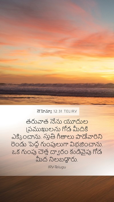 నెహెమ్యా 12:31 TELIRV Bible Verse Image