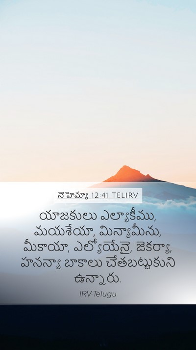 నెహెమ్యా 12:41 TELIRV Bible Verse Image