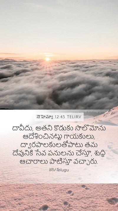 నెహెమ్యా 12:45 TELIRV Mobile Phone Wallpaper - దావీదు, అతని - Mobile Bible Verse Wallpaper