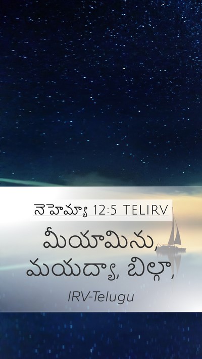 నెహెమ్యా 12:5 TELIRV Mobile Phone Wallpaper - మీయామిను, మయద్యా, - Mobile Bible Verse Wallpaper