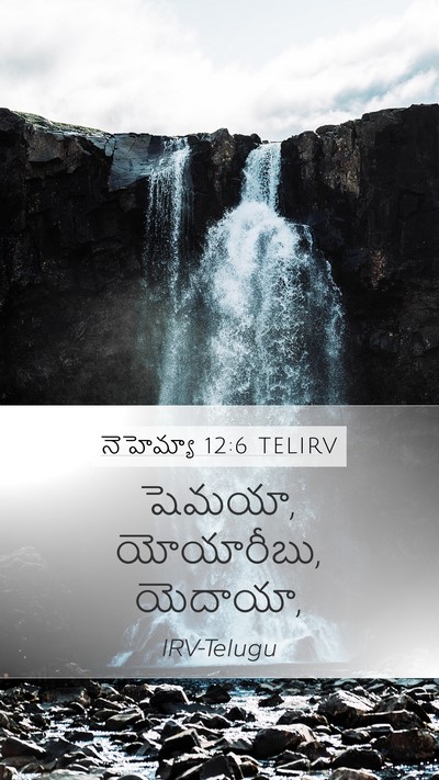 నెహెమ్యా 12:6 TELIRV Bible Verse Image