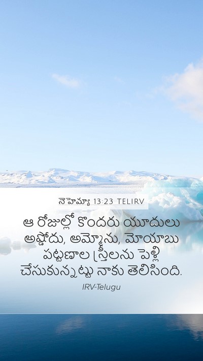 నెహెమ్యా 13:23 TELIRV Bible Verse Image