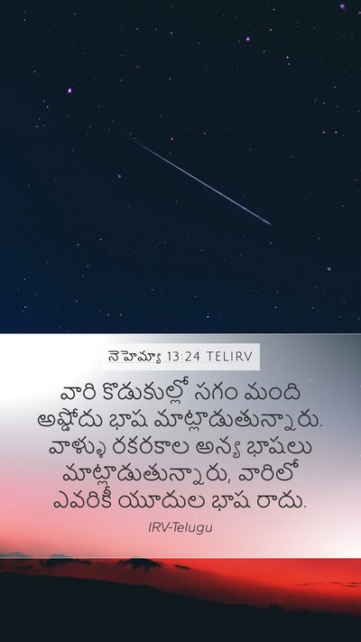 నెహెమ్యా 13:24 TELIRV Bible Verse Image