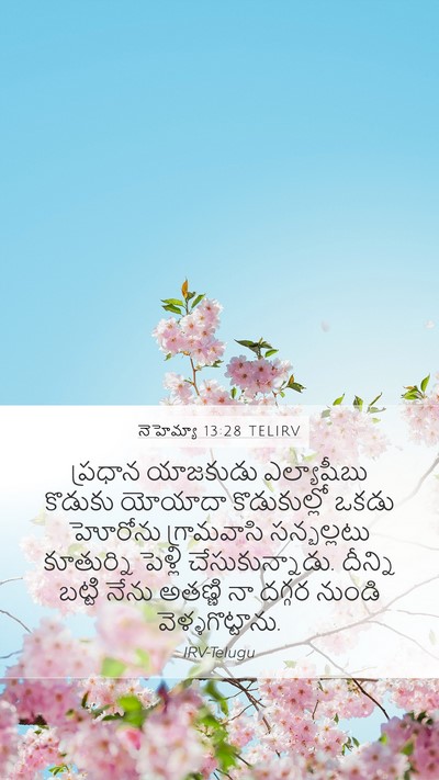 నెహెమ్యా 13:28 TELIRV Bible Verse Image