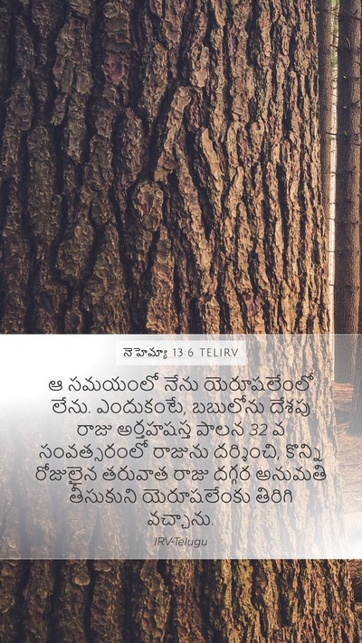 నెహెమ్యా 13:6 TELIRV Bible Verse Image