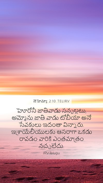 నెహెమ్యా 2:10 TELIRV Bible Verse Image