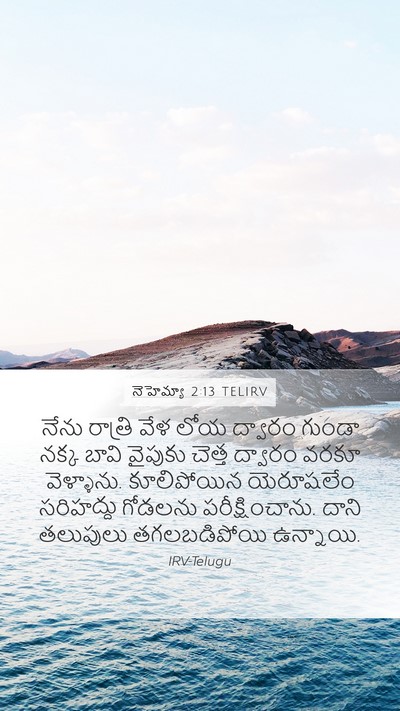 నెహెమ్యా 2:13 TELIRV Bible Verse Image