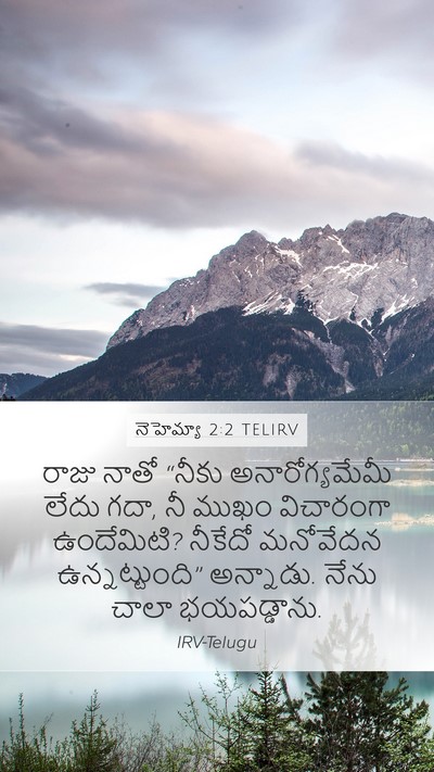 నెహెమ్యా 2:2 TELIRV Bible Verse Image