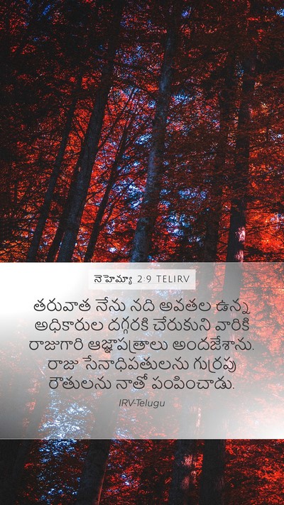 నెహెమ్యా 2:9 TELIRV Bible Verse Image