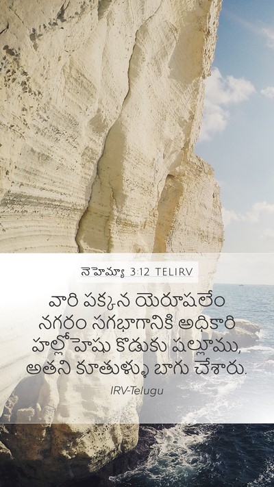 నెహెమ్యా 3:12 TELIRV Bible Verse Image