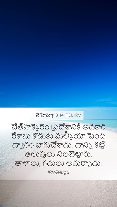 నెహెమ్యా 3:14 TELIRV Bible Verse Image