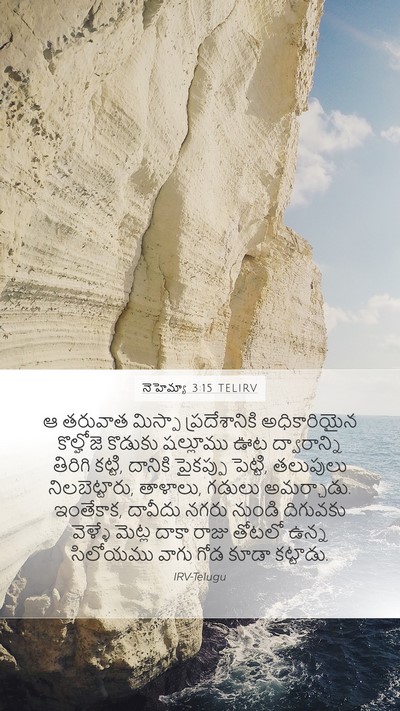 నెహెమ్యా 3:15 TELIRV Bible Verse Image