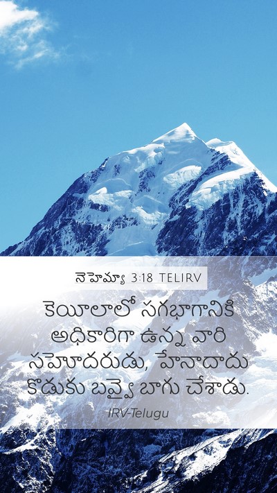 నెహెమ్యా 3:18 TELIRV Bible Verse Image