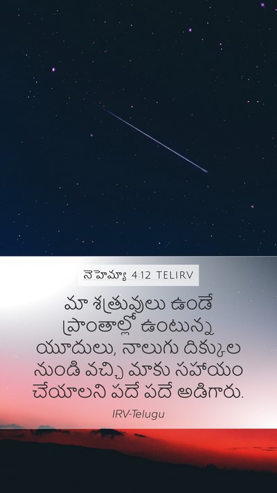 నెహెమ్యా 4:12 TELIRV Bible Verse Image
