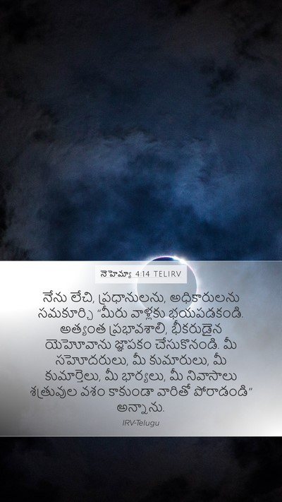నెహెమ్యా 4:14 TELIRV Bible Verse Image