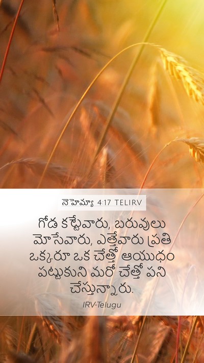 నెహెమ్యా 4:17 TELIRV Bible Verse Image