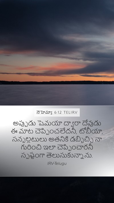 నెహెమ్యా 6:12 TELIRV Bible Verse Image