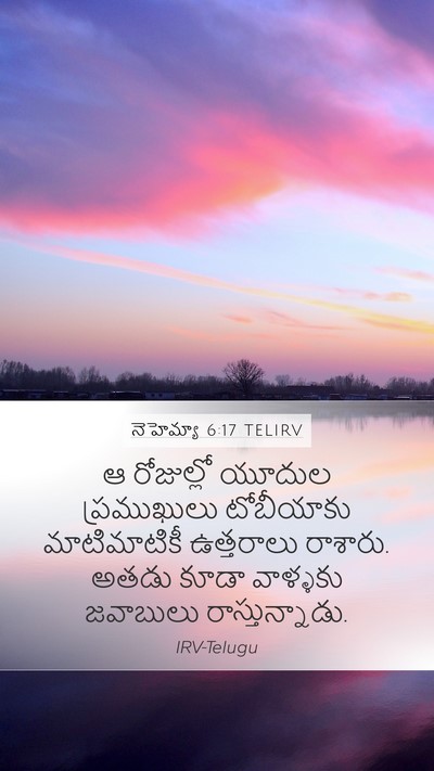 నెహెమ్యా 6:17 TELIRV Bible Verse Image