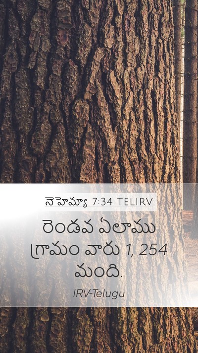 నెహెమ్యా 7:34 TELIRV Bible Verse Image