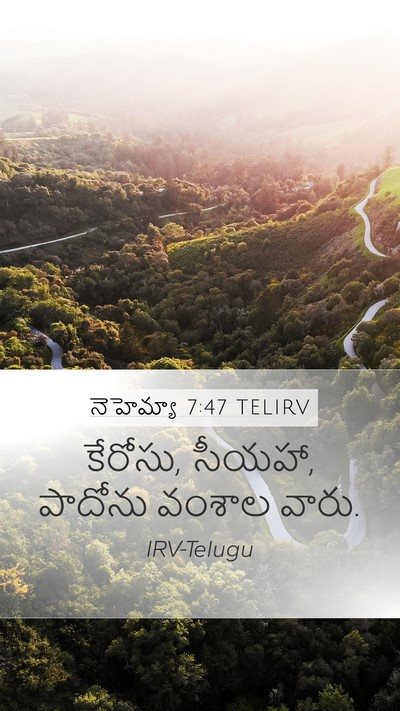 నెహెమ్యా 7:47 TELIRV Mobile Phone Wallpaper - కేరోసు, సీయహా, - Mobile Bible Verse Wallpaper