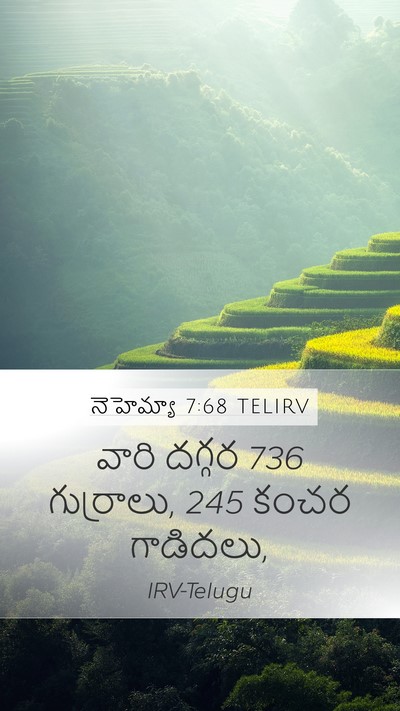నెహెమ్యా 7:68 TELIRV Mobile Phone Wallpaper - వారి దగ్గర 736 - Mobile Bible Verse Wallpaper
